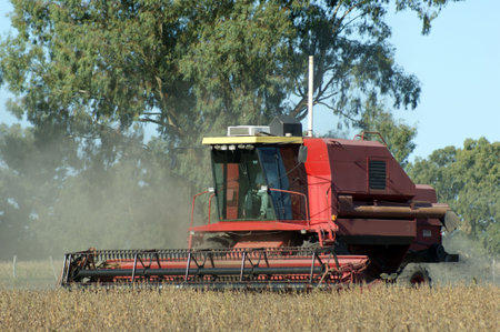 Harvesting in a soybean field in Argentinaの写真素材