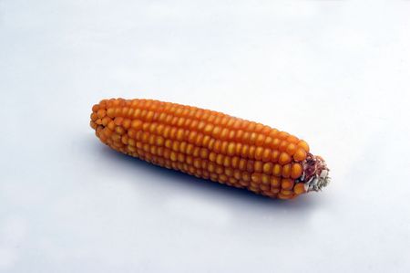 An isolated corn over a white background