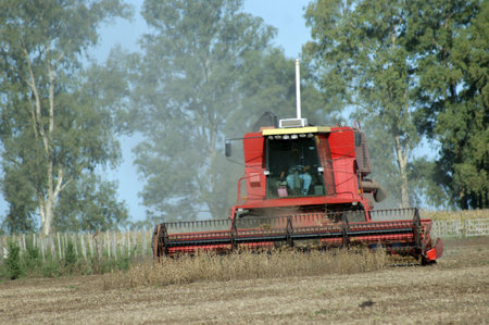 Red harvester at work in a soy bean fieldの写真素材