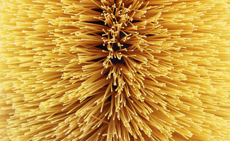 yellow brush closeup