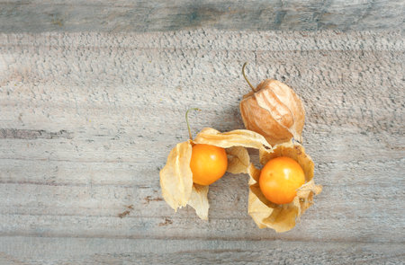 cape gooseberryの写真素材