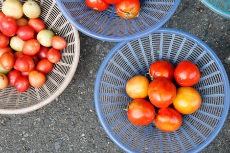 tomato in local groceryの写真素材