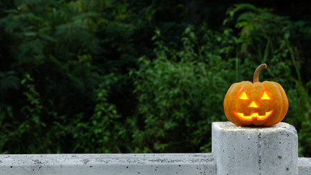 halloween pumpkin  in dark scene forestの写真素材
