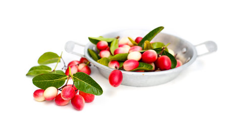 Bengal Currants isolated from white backgroundの写真素材