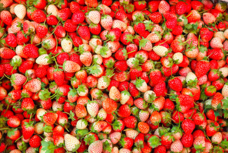 Fresh and ripe strawberry backgroundの写真素材