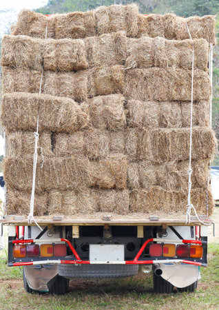 Hay Truck for cow feedingの写真素材