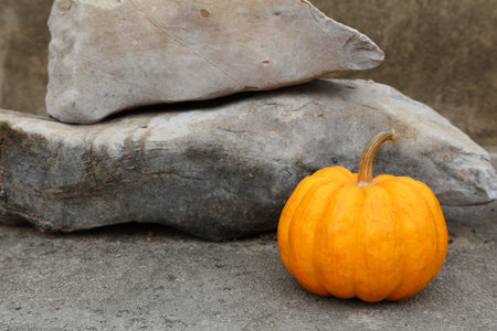 Pumpkin in a nature rock backgroundの写真素材
