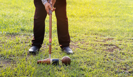woodball player playing ball game on grass lawnの写真素材