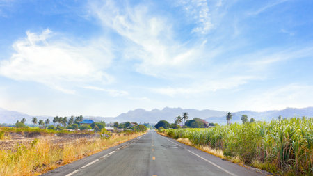 Rural road with sugarcane field straight to the Mountains rangeの写真素材