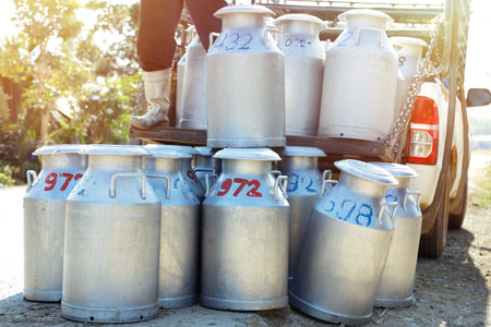 Transports Raw milk to the milk and cheese factoryの写真素材