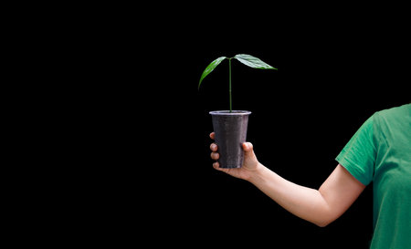 A woman holding a tree sapling in a dark backgroundの写真素材