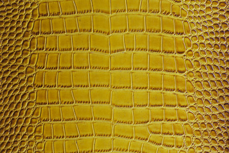 leather crocodile belly part details close upÂ の写真素材