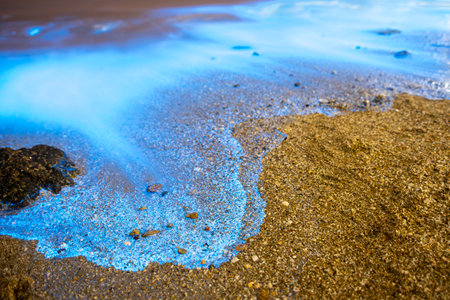 Blue tears Noctiluca scintillans. Photographed in Matsu, Taiwanの写真素材