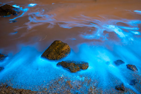 Blue tears Noctiluca scintillans. Photographed in Matsu, Taiwanの写真素材