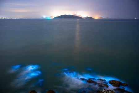 Blue tears Noctiluca scintillans. Photographed in Matsu, Taiwanの写真素材