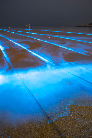 Blue tears Noctiluca scintillans. Photographed in Matsu, Taiwanの写真素材
