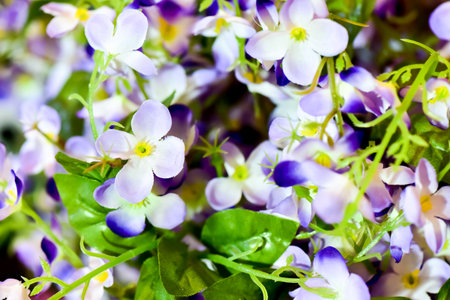 Valentine's Day Equipmentの写真素材