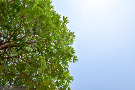 Blue sky white cloud white back groundの写真素材