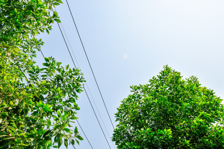 Blue sky white cloud white back groundの写真素材