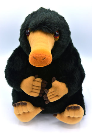 Soft Baby toy doll on white background.