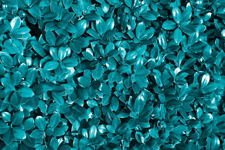 Seamless pattern leaves on a dark background.