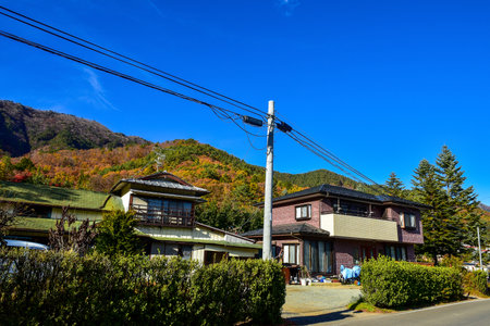 Autumn leaves in Kawaguchiko lagoon at  yakisaki park japan.Fujisan mountain.のeditorial素材