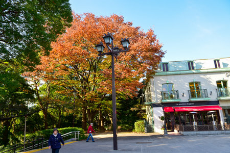 Tokyo, Japan November 27 2019 Unidentified Blur many people are walking at Ueno park and watch the autumn tree in the garden, autumn forest on a sunshine day.のeditorial素材