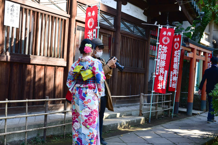 Tokyo, Japan November 27 2018 Unidentified  many people are walking at Ueno park and watch the autumn tree in the garden .のeditorial素材