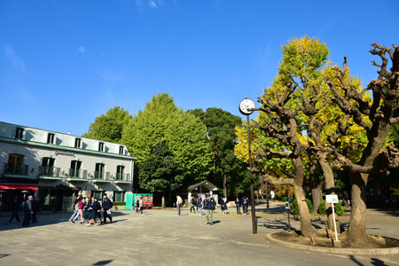 Tokyo, Japan November 27 2019 Unidentified Blur many people are walking at Ueno park and watch the autumn tree in the garden, autumn forest on a sunshine day.のeditorial素材