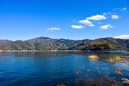 Kawaguchiko lagoon at yakisaki park japan.Fujisan mountain.の写真素材
