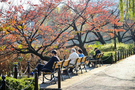 Tokyo, Japan November 27 2018 Unidentified  many people are walking at Ueno park and watch the autumn tree in the garden .のeditorial素材