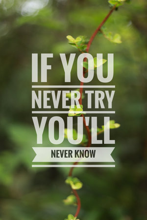 Inspirational quote. If you never try you'll never know.の写真素材