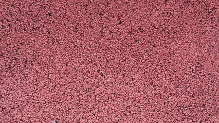 An overhead, close-up view of the fine, granular texture of a red synthetic running track surface,...