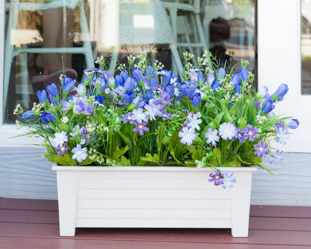 colorful spring flowers in potsの写真素材