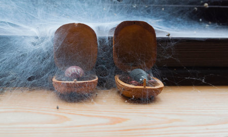 Two art pieces intangled in a big spider webの写真素材
