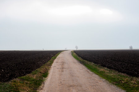 A road that stretch out to the horizonの写真素材