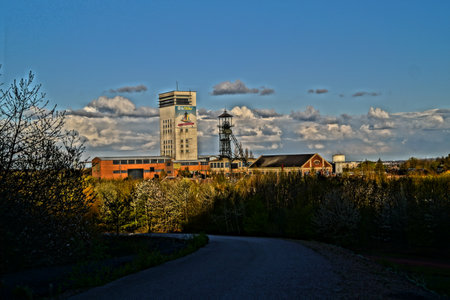 fosse11 / 19のeditorial素材