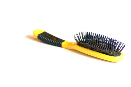 Isolated Hairbrushの写真素材