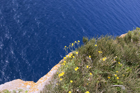 Blue Seaの写真素材