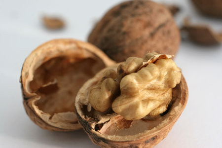 Macro of an Walnut and an open walnut shell
