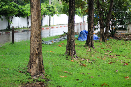 rainy dayの写真素材