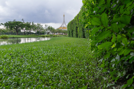 Public park on a rainy day is going to fall.の写真素材