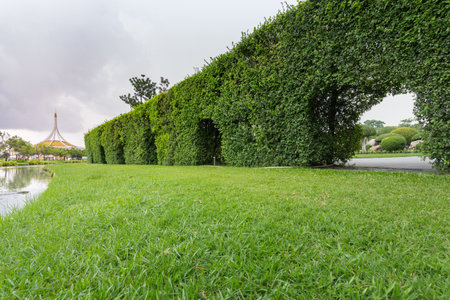 Public park on a rainy day is going to fall.