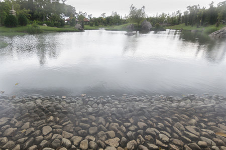 Pond in the public parkの写真素材