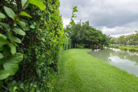 Public park on a rainy day is going to fall.の写真素材