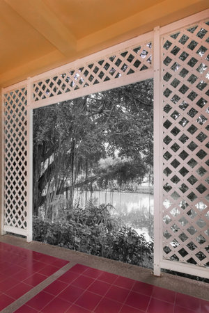 Pond in the public garden looking out the window.の写真素材