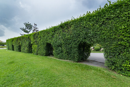 Public park