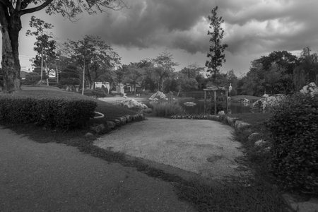 Pond in the public parkの写真素材