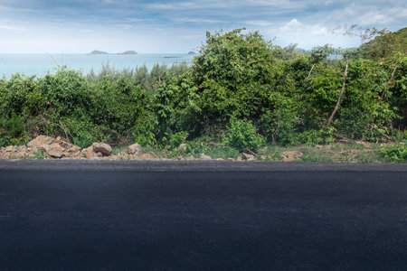 Asphalt road  in the forest.の写真素材