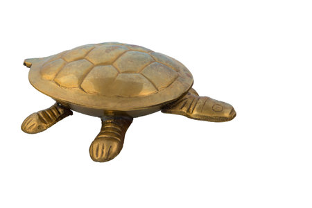 Golden turtleの写真素材